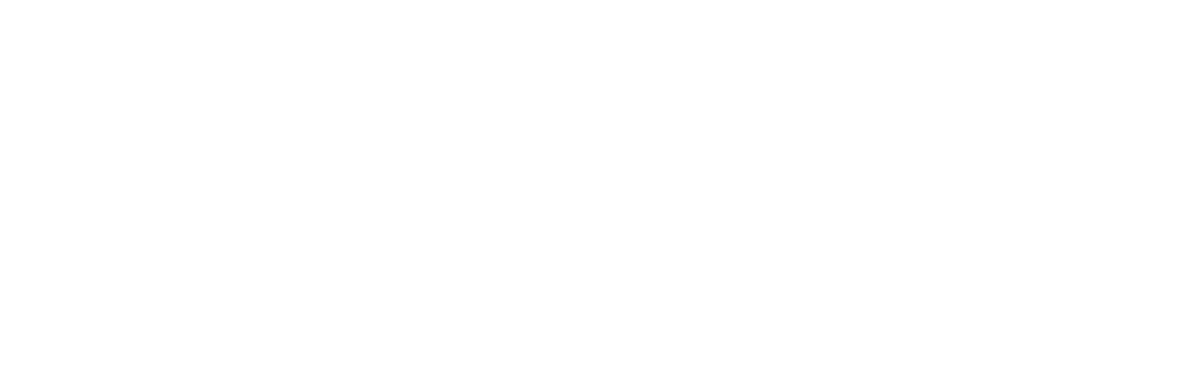 Modex logo