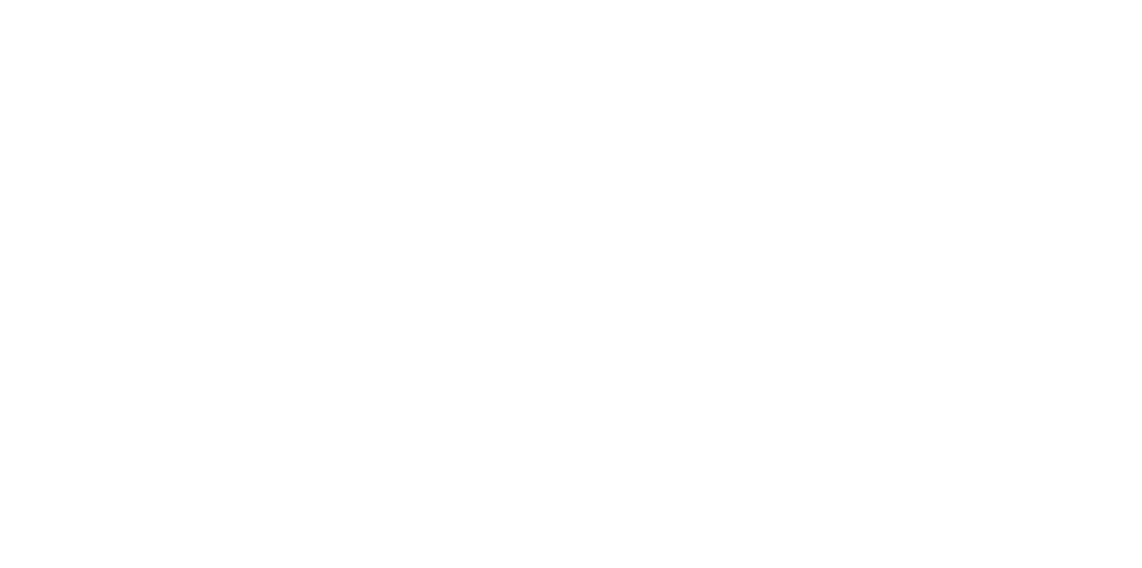 On Fleek logo