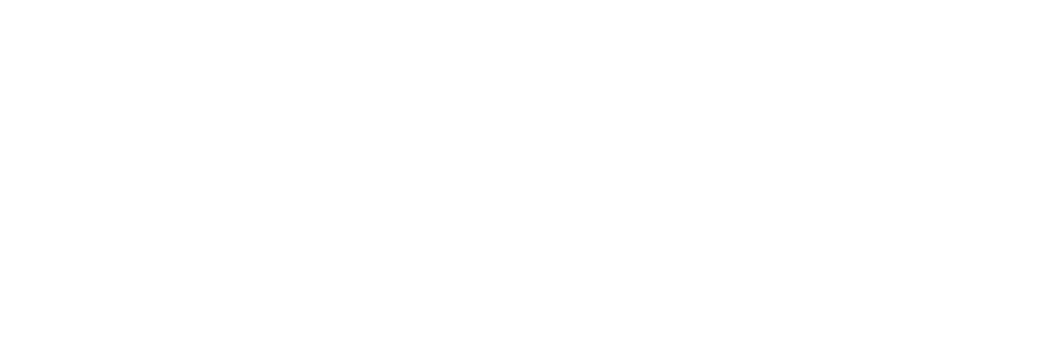 Puneh Oriental logo