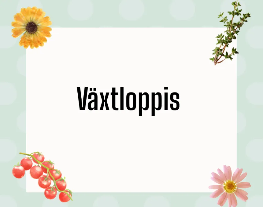 Vill du sälja på Maxinges växtloppis?